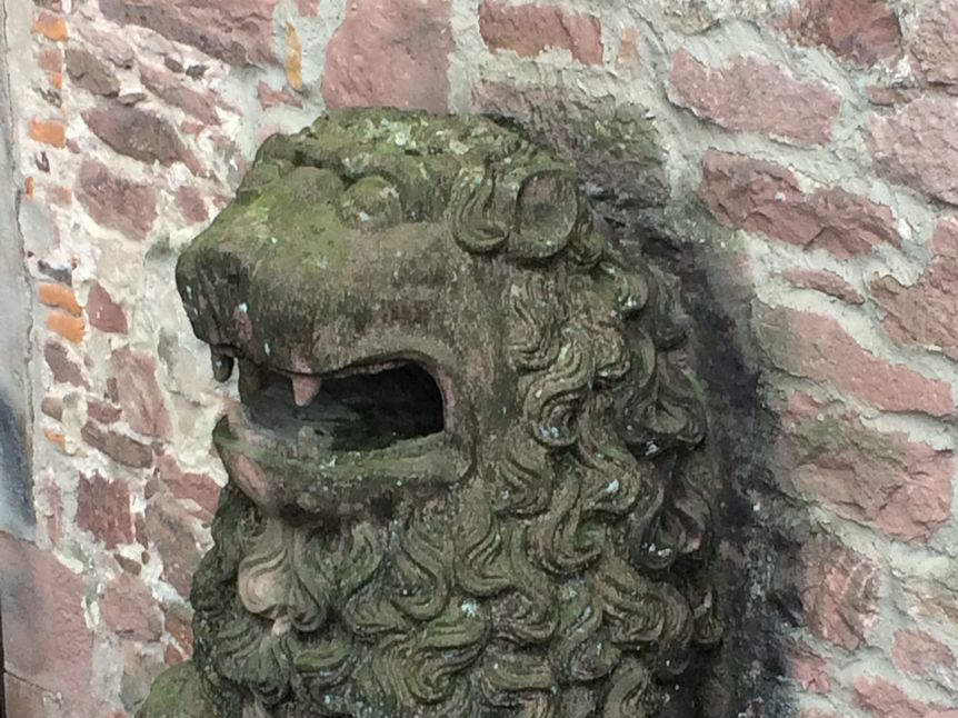 Schloss Heidelberg, Detail, Pfälzer Löwe am Fassbau